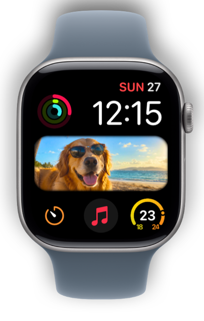 Modular watch face with a dog on the beach